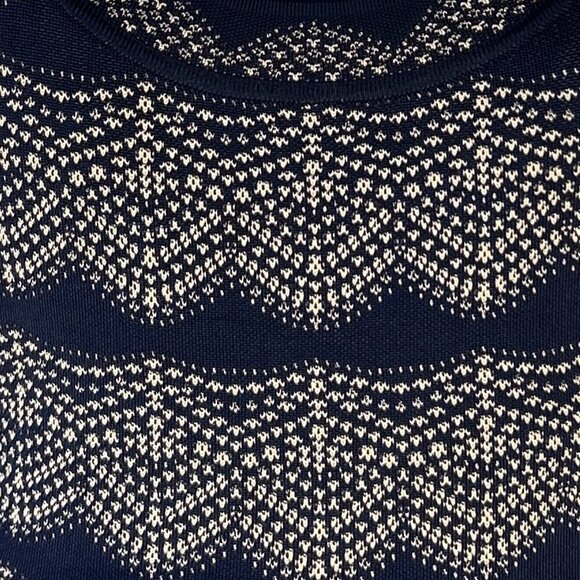 BCBGMaxAzria SZ L Navy & Cream sweater tank dress Layers Timeless Preppy Office - Picture 6 of 9